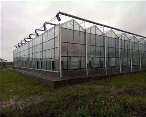 单栋玻璃温室顶棚